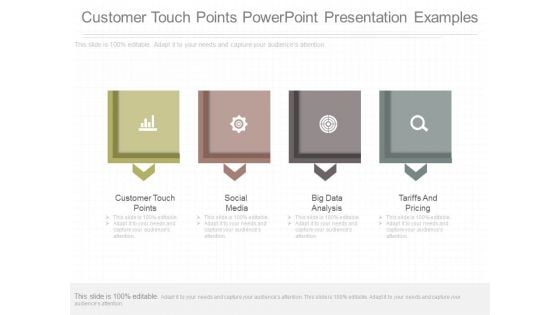 Customer Touch Points Powerpoint Presentation Examples