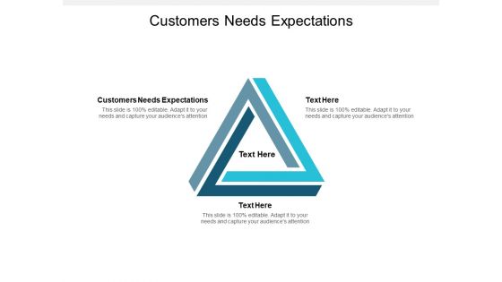 Customers Needs Expectations Ppt PowerPoint Presentation Visual Aids Infographic Template Cpb