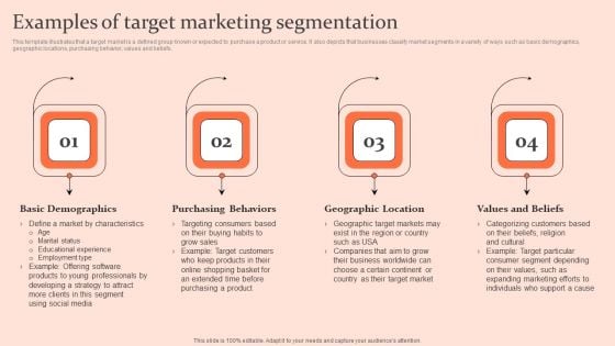 Customised Advertising Strategies Examples Of Target Marketing Segmentation Ideas PDF