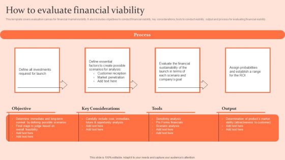 Customised Advertising Strategies How To Evaluate Financial Viability Clipart PDF