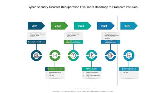 Cyber Security Disaster Recuperation Five Years Roadmap To Eradicate Intrusion Professional