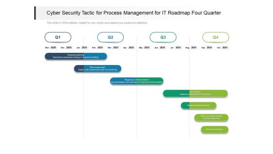 Cyber Security Tactic For Process Management For IT Roadmap Four Quarter Pictures