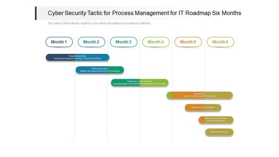 Cyber Security Tactic For Process Management For IT Roadmap Six Months Clipart