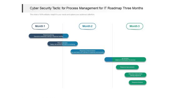 Cyber Security Tactic For Process Management For IT Roadmap Three Months Demonstration