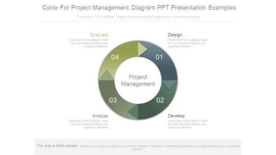 Cycle For Project Management Diagram Ppt Presentation Examples