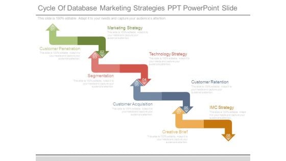 Cycle Of Database Marketing Strategies Ppt Powerpoint Slide