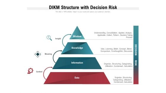 DIKM Structure With Decision Risk Ppt PowerPoint Presentation Slides Graphics Download PDF