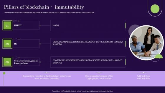 DLT Technology Pillars Of Blockchain Immutability Ppt Model Outfit PDF