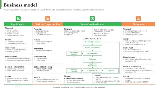 Dabur Business Profile Business Model Ppt Infographic Template Examples PDF