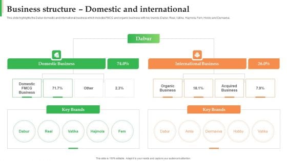 Dabur Business Profile Business Structure Domestic And International Introduction PDF