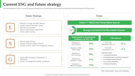 Dabur Business Profile Current ESG And Future Strategy Ppt Infographic Template Icons PDF