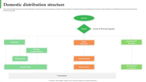 Dabur Business Profile Domestic Distribution Structure Ppt Pictures Diagrams PDF