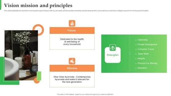 Dabur Business Profile Vision Mission And Principles Ppt Slides Background Image PDF Dabur Business Profile Vision Mission And Principles Ppt Slides Background Image PDF