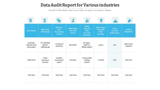 Data Audit Report For Various Industries Ppt PowerPoint Presentation Show Background Designs PDF