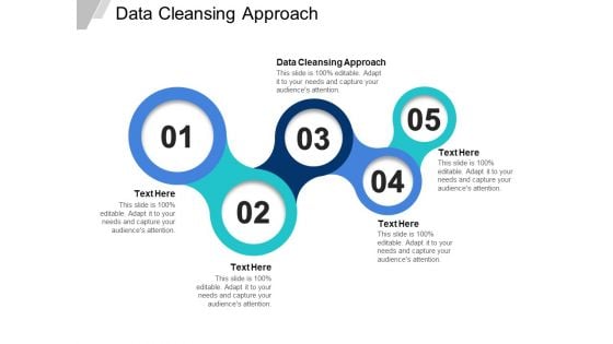 Data Cleansing Approach Ppt PowerPoint Presentation Icon Ideas Cpb