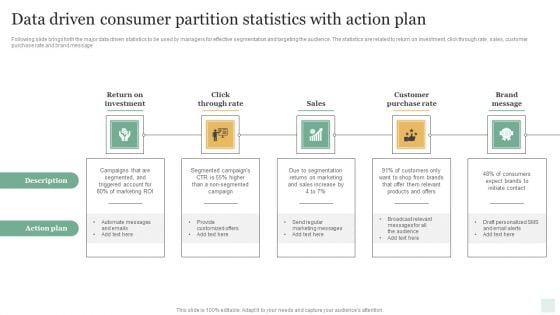 Data Driven Consumer Partition Statistics With Action Plan Pictures PDF