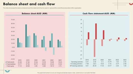 Data Driven Marketing Solutions Firm Company Profile Balance Sheet And Cash Flow Guidelines PDF