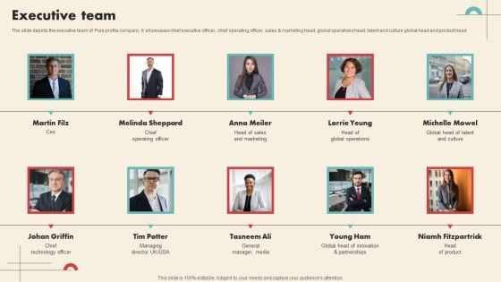 Data Driven Marketing Solutions Firm Company Profile Executive Team Portrait PDF Data Driven Marketing Solutions Firm Company Profile Executive Team Portrait PDF