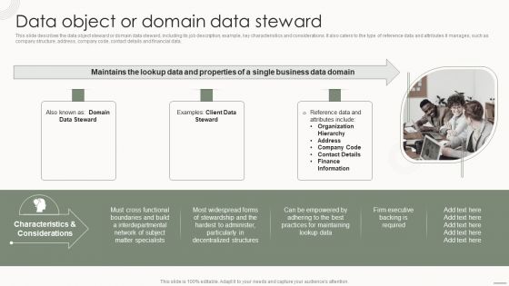 Data Governance IT Data Object Or Domain Data Steward Summary PDF