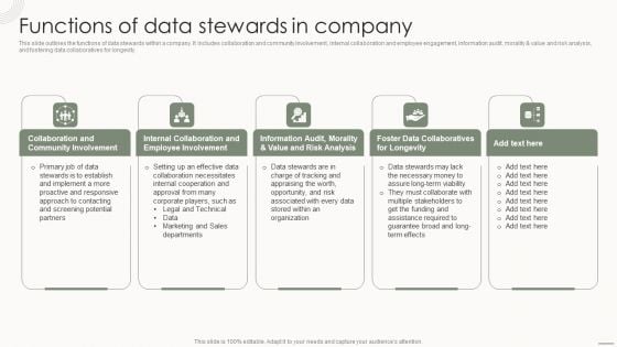 Data Governance IT Functions Of Data Stewards In Company Sample PDF