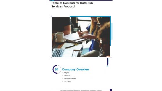 Data Hub Services Proposal For Table Of Contents One Pager Sample Example Document