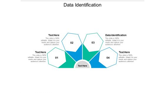 Data Identification Ppt PowerPoint Presentation Ideas Format Cpb