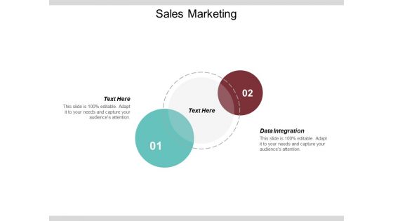 Data Integration Ppt PowerPoint Presentation File Samples Cpb Data Integration Ppt PowerPoint Presentation File Samples Cpb