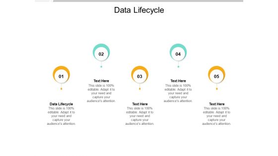 Data Lifecycle Ppt PowerPoint Presentation Icon Example Topics Cpb Pdf