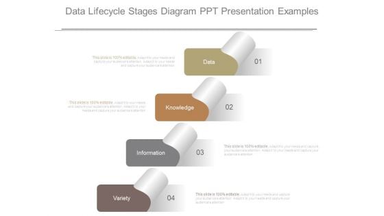 Data Lifecycle Stages Diagram Ppt Presentation Examples