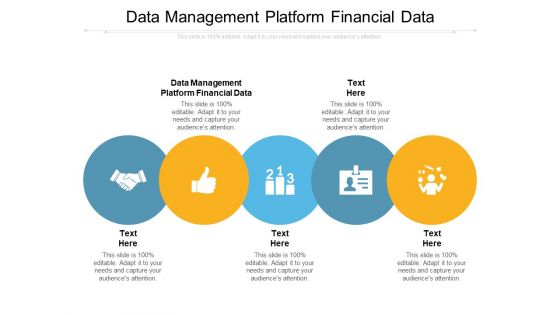 Data Management Platform Financial Data Ppt PowerPoint Presentation Gallery Sample Cpb