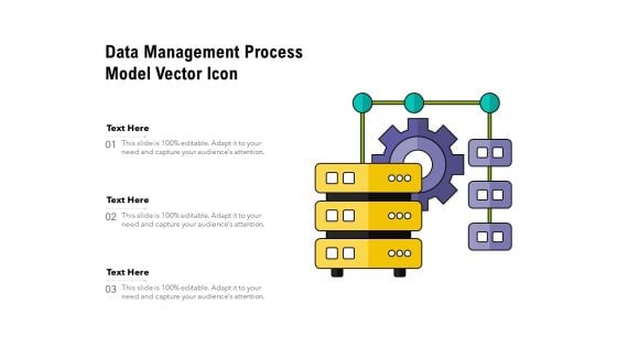 Data Management Process Model Vector Icon Ppt PowerPoint Presentation Gallery Example PDF