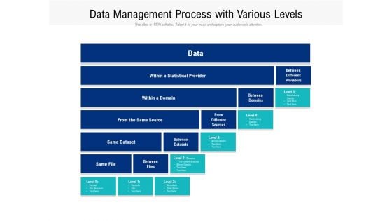 Data Management Process With Various Levels Ppt PowerPoint Presentation File Sample PDF