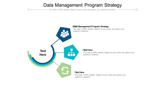 Data Management Program Strategy Ppt PowerPoint Presentation Inspiration Show Cpb Pdf