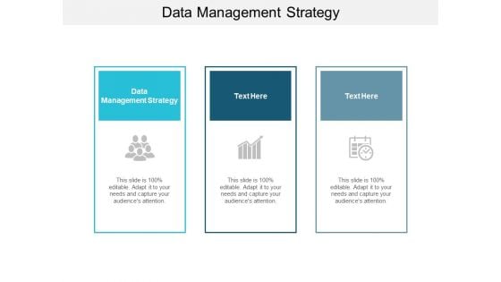 Data Management Strategy Ppt PowerPoint Presentation Ideas Graphics Template Cpb