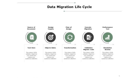 Data Migration Life Cycle Ppt PowerPoint Presentation Professional Structure