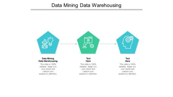 Data Mining Data Warehousing Ppt PowerPoint Presentation Portfolio Show Cpb Pdf