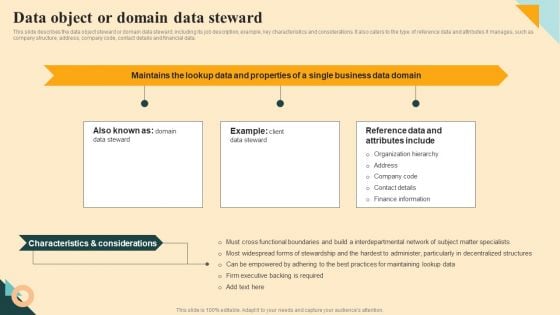 Data Object Or Domain Data Steward Ideas PDF