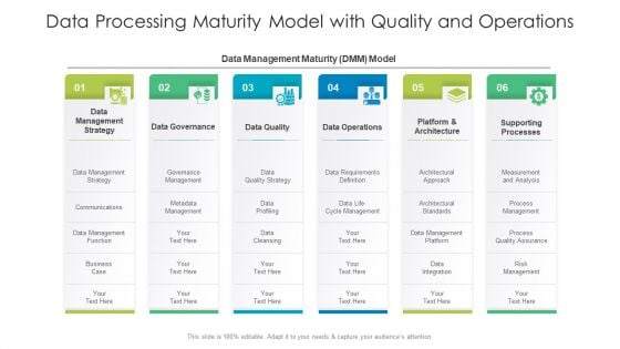 Data Processing Maturity Model With Quality And Operations Information PDF