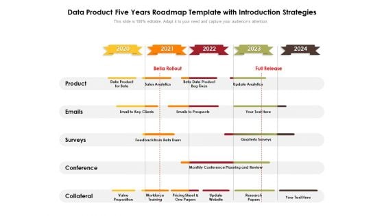 Data Product Five Years Roadmap Template With Introduction Strategies Portrait