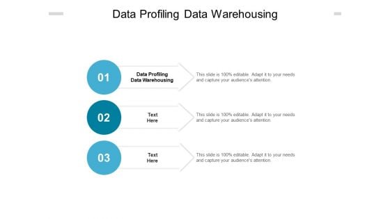 Data Profiling Data Warehousing Ppt PowerPoint Presentation Slides Visuals Cpb Pdf