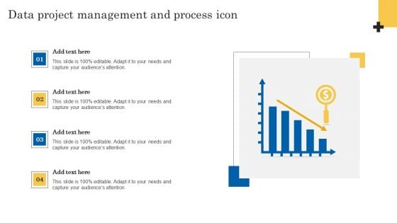 Data Project Management And Process Icon Diagrams PDF