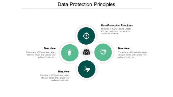 Data Protection Principles Ppt PowerPoint Presentation Styles Good Cpb