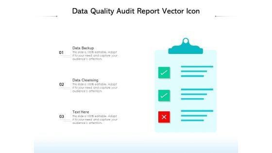 Data Quality Audit Report Vector Icon Ppt PowerPoint Presentation Layouts Example Topics PDF