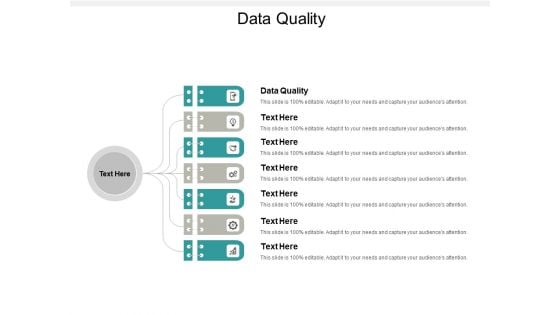 Data Quality Ppt PowerPoint Presentation Deck Cpb