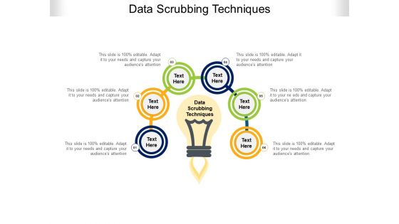 Data Scrubbing Techniques Ppt PowerPoint Presentation Pictures Show Cpb Pdf