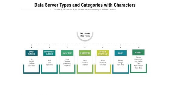 Data Server Types And Categories With Characters Ppt PowerPoint Presentation File Inspiration PDF