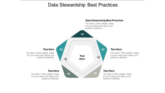 Data Stewardship Best Practices Ppt PowerPoint Presentation Slides File Formats Cpb