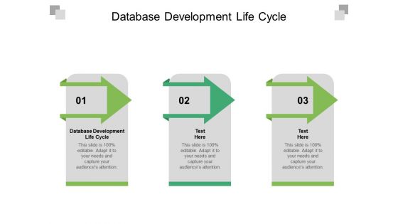 Database Development Life Cycle Ppt PowerPoint Presentation Professional Inspiration Cpb Pdf