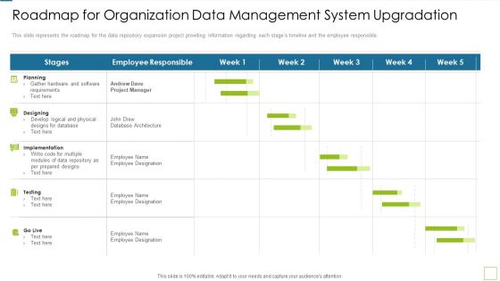 Database Expansion And Optimization Roadmap For Organization Data Management System Upgradation Ppt Show Infographic Template