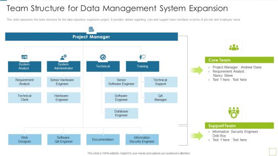 Database Expansion And Optimization Team Structure For Data Management System Expansion Ppt Professional Example File